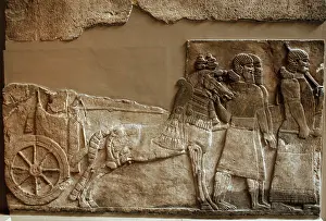 Cuneiform: Stone panel. Palace of Tiglath-pileser III. Nimrud. Iraq. Ne