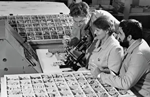 Geologist: Stone processing laboratory