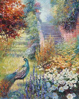 Powis: Stone Steps at Powis Castle