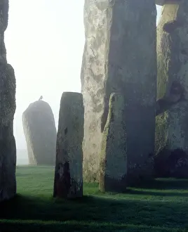 Bluestones: Stonehenge