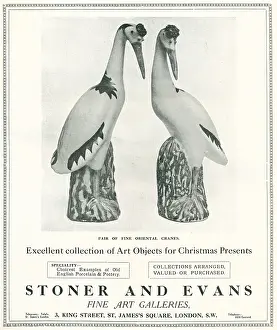 Stoner: Stoner and Evans Advertisement