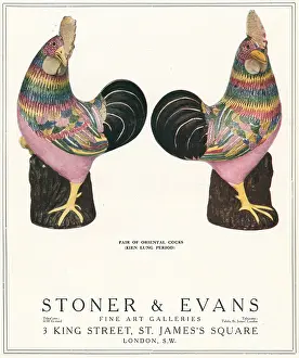Kien: Stoner and Evans Advertisement