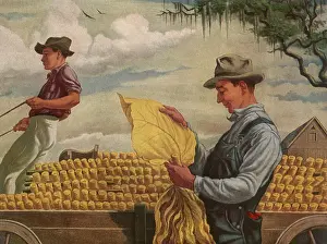 Husbandry: Next Stop - the Tobacco Auction