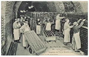 Chandon: STORING MOET BOTTLES