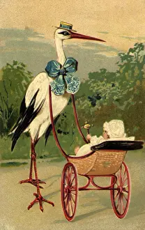 Stroller: Stork Baby in Stroller