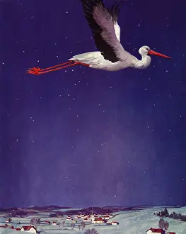 Storks: Stork Flies in Country