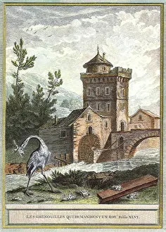 Catches: Stork with Frog, River