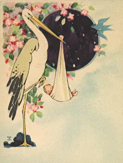 Slung: Stork Holding Newborn