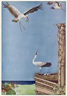 Nestlings: The Storks