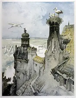 Niederrhein: Storks Nesting on Chimneytops in Niederrhein