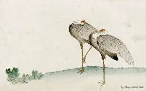 Ukiyo E: Two Storks resting by Maruyama Okyo