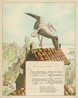 Ciconia: STORKS ON ROOFTOP C1870