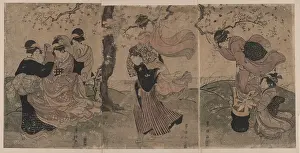 Consoling: A storm of petals