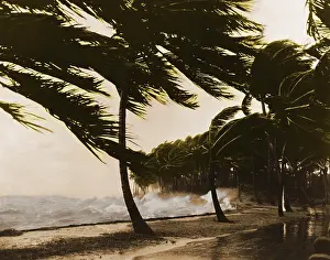 Thunderstorm: Storm Surge