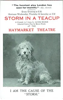 Bridie: Storm in a Teacuo by James Bridie