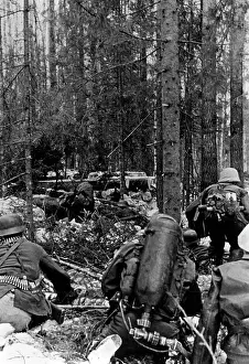 Seversky: Storming of a Soviet forest camp, June 1942