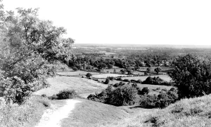 Storrington: Storrington, The Weald c1955