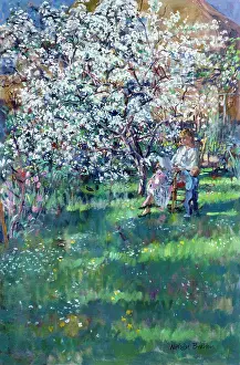 Bristow: Storytime ' lady reading under tree