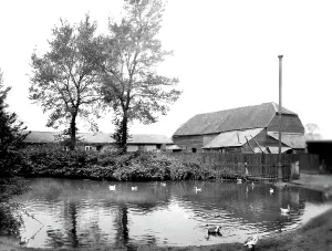 Stoughton: Stoughton, Grange Lane Farm 1925