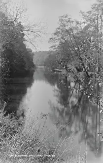 Forum: The Stour at Blandford
