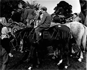 Horsefair: STOW HORSE FAIR