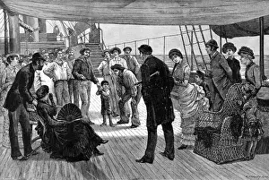 Stowaway: A Stowaway found on a Victorian Ship 1884