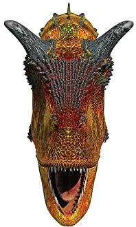 Ceratosaur: A straight ahead look at the predator Carnotaurus