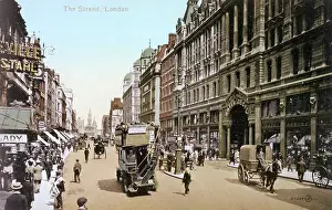 Omnibuses: The Strand and the Strand Hotel Cecil