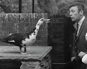 Droppings: Strange bird squawks at a man