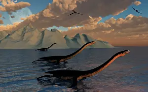 Ness: Strange creatures that best resemble prehistoric Plesiosaurs