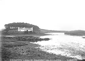Strangford: Strangford Lough at Delamont Nr. Killyleagh
