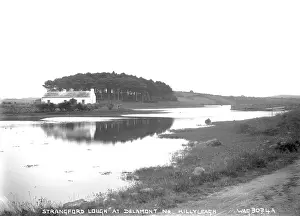 Strangford: Strangford Lough at Delamont Nr. Killyleagh