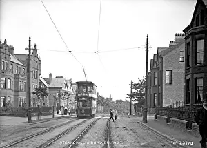 Tramline: Stranmillis Road, Belfast