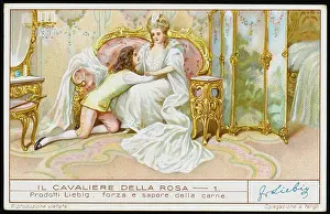 Rosenkavalier: Strauss - Rosenkavalier