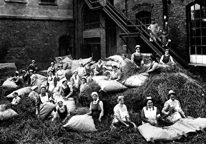 Pillow: Straw beds for wounded soldiers, 1914