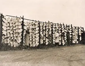 Hatmaking: STRAW HATS DRYING