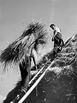 Thatching: STRAW STACK