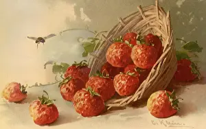 Klein: Strawberries