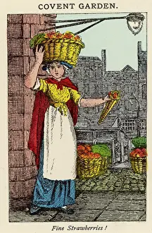 Balanced: STRAWBERRY SELLER