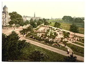 Stray: The Stray, Harrogate, England