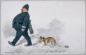 Stray: STRAY TAKEN IN CUSTODY