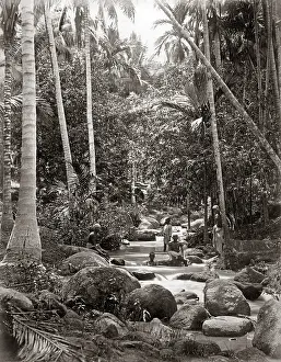 Bathers: Stream and bathers, probably Ceylon (Sri Lanka), circa 1880s