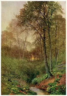 Brill: STREAM AT BRILL