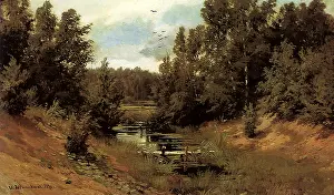 Slow: Stream in a Forest