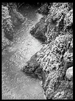 Frosty: Stream with ice and frost