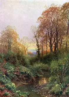 Leith: STREAM AT LEITH HILL