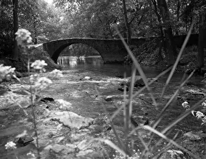 Aerobics: Stream Running Under Stone Bridge