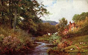 Guildford: A Stream, Shalford, Surrey
