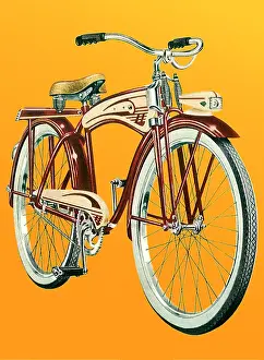 Chrome: Streamlined Bicycle