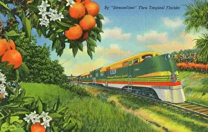 Streamliner: Streamliner Train passing through Florida Orange groves